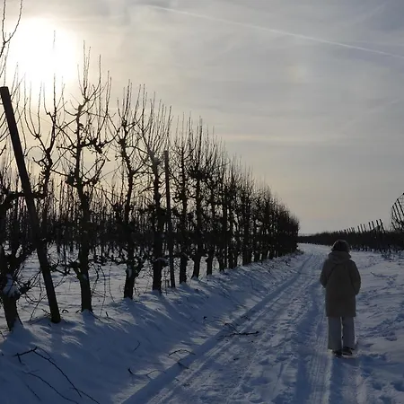 Hoeve Bothe - *